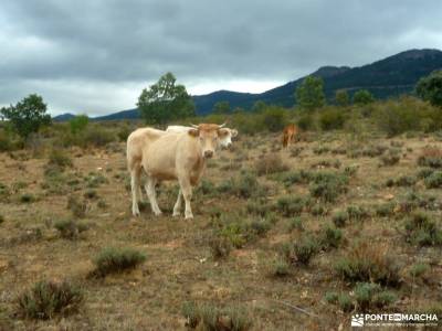 Frente y Batalla del Agua: puente septiembre refugio de goriz collado jermoso